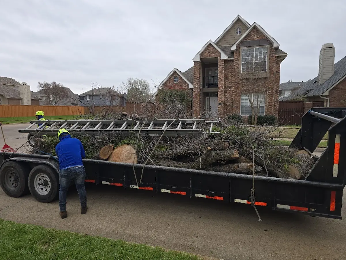 Expert Tree Fertilization with proper safety equipment in Wilsonville